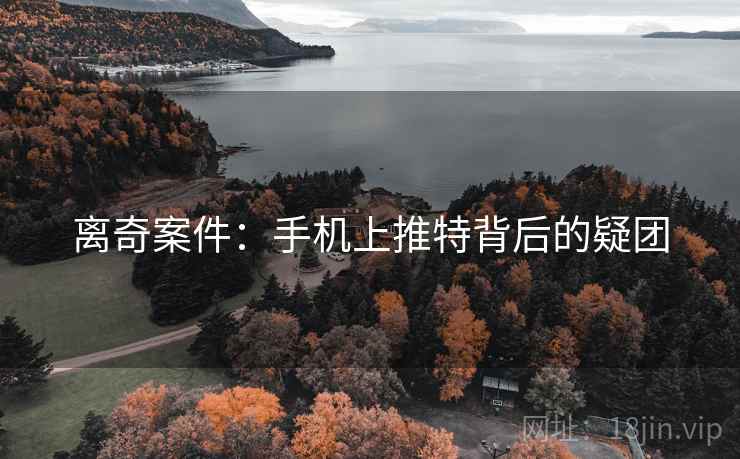 离奇案件：手机上推特背后的疑团