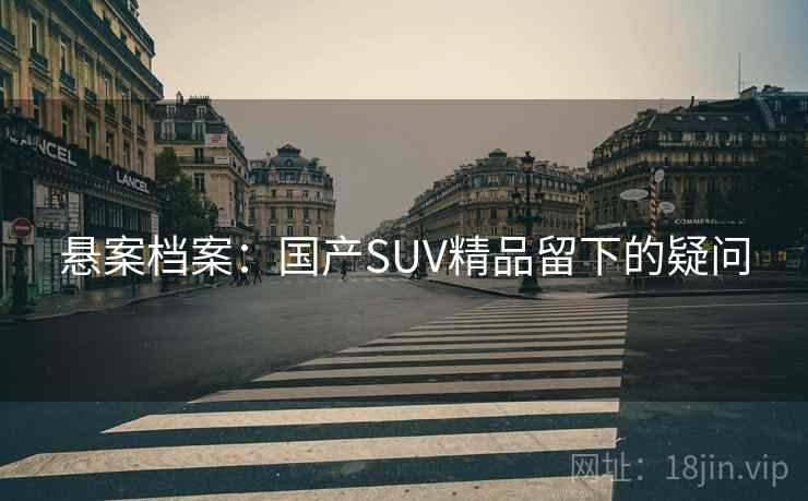 悬案档案：国产SUV精品留下的疑问