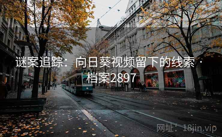 谜案追踪：向日葵视频留下的线索 · 档案2897