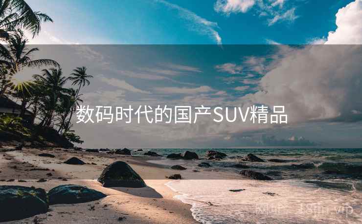 数码时代的国产SUV精品 数码时代的国产SUV精品
